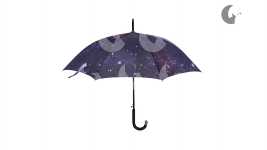 Starry Umbrella